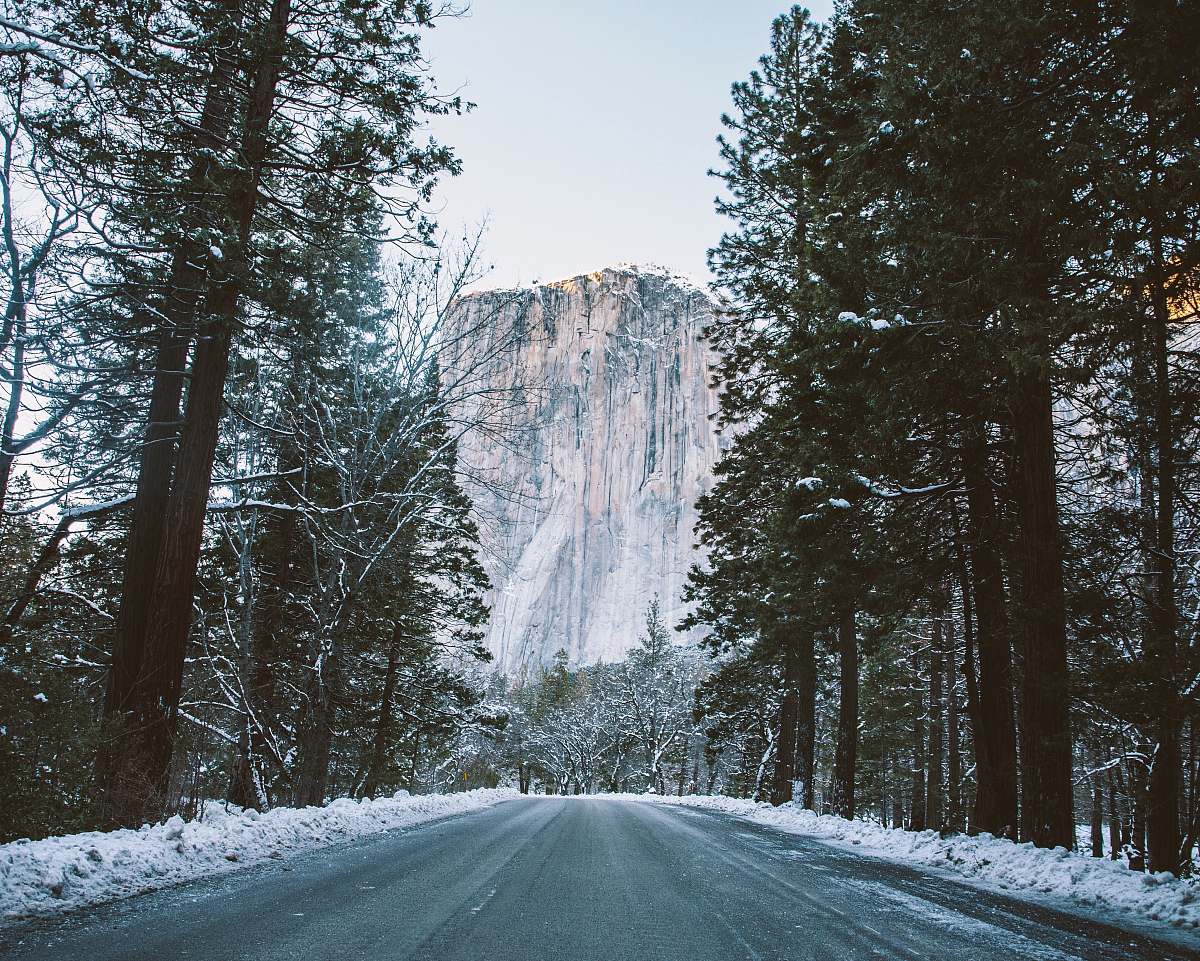 yosemite valley pathway surrounded with trees road